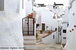 558 - Frigiliana